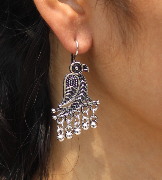 Earrings B02R